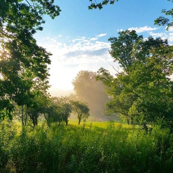 Meet your Posher, Faith - Picture 1 of 1